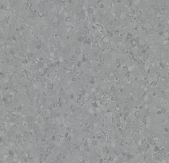 Линолеум Forbo Sphera Element 50009 lead фото 1 | FLOORDEALER